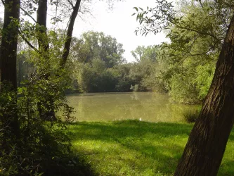 Weisenheim am Sand - Ludwigshain (© Urlaubsregion Freinsheim)