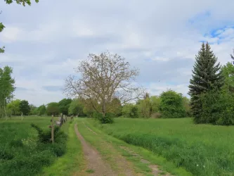 Ludwigshain Bild 2 (© Urlaubsregion Freinsheim)
