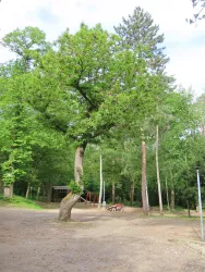 Ludwigshain Bild 1 (© Urlaubsregion Freinsheim)