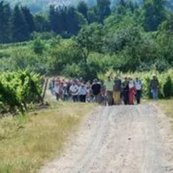 Wandergruppe auf dem Wanderweg vom Naherholungsgebiet Ludwigshain in die Weinberge