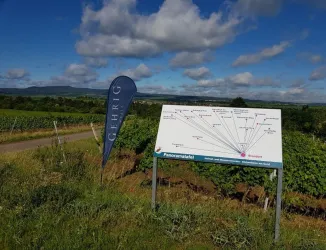 Schautafel der Lage von Weisenheim am Sand mit Pfälzerwald im Hintergrund