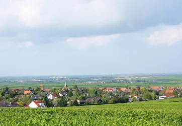 Eine malerische Landschaft mit Weinbergen und einem kleinen Dorf. Im Hintergrund sind sanfte Hügel und ein klarer Himmel zu sehen.