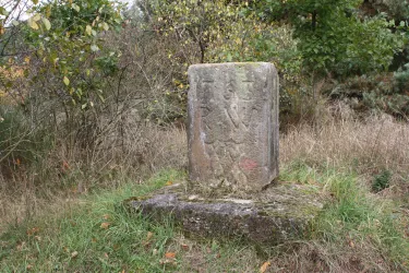 Ein Stein mit Inschriften steht in einem Grasgebiet umgeben von Bäumen. Die Szenerie wirkt ruhig und naturbelassen.