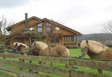 Isländer am Blockhaus (© Familie Schellhaas)