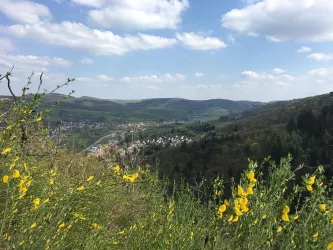 Blick auf Wolfstein vom Pfälzer Höhenweg