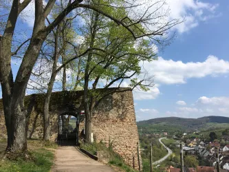 Ruine Neuwolfstein