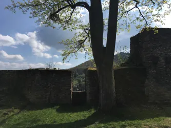 Burghof, Detailaufnahme