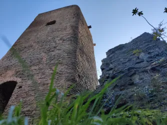 Burgruine Altwolfstein ..