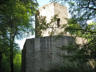 Ruine Altwolfstein (© Tino Schreck)