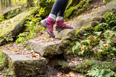 Eine Person mit pinken Wanderschuhen steigt auf einen felsigen Weg in einem Wald. Umgeben von grünen Pflanzen und herbstlichem Laub.