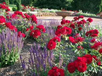 Schlossgarten (© Ute Knieriemen-Wagner)