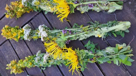 Drei bunte Kräutersträuße liegen auf einem Holztisch. Die Sträuße sind mit verschiedenen Pflanzen und Blumen geschmückt.