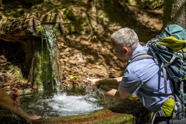Ein Wanderer steht an einer Wasserquelle im Wald und taucht seine Hände ins Wasser. Die Umgebung ist grün und sonnig, mit einem plätschernden Wasserfall im Hintergrund.