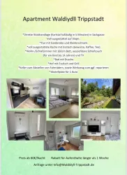 Ein modernes Apartment mit voll ausgestatteter Küche, Wohn- und Schlafzimmer sowie einem Bad mit Dusche. Es liegt in der Nähe der Waldlandschaft und bietet Platz für ein Auto.