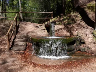 Burgalbsprung (© TI Landstuhl)