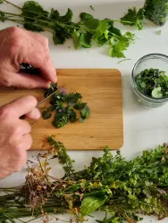 Eine Person schneidet frische Kräuter auf einem Holzbrett. Im Hintergrund sind weitere Kräuter und ein Glas mit geschnittenen Kräutern zu sehen.