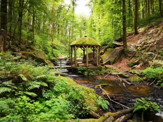 Ein malerischer Wald mit üppigem Grün und einem klaren Bach. Im Vordergrund steht eine kleine, überdachte Holzstruktur.