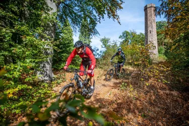 Eschkopfturm (© Mountainbikepark Pfälzerwald e.V.)