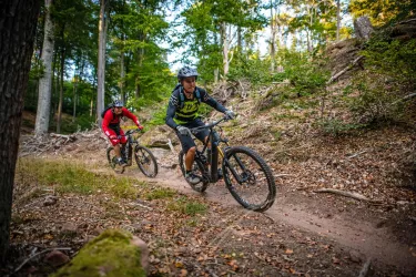 MTB-Tour 3 (© Mountainbikepark Pfälzerwald e.V.)