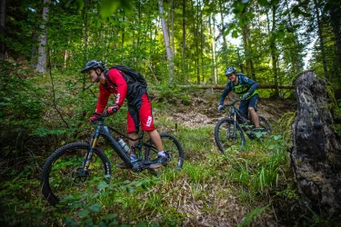 MTB-Tour 5 (© Mountainbikepark Pfälzerwald e.V.)