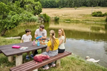 Eine fröhliche Familie genießt ein Picknick am Ufer eines ruhigen Teichs. Im Hintergrund sind Felder und Bäume zu sehen.