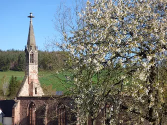 Kloster Rosenthal im Frühling