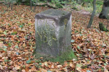 Grenzsteine am Preußensteig in Pfeffelbach