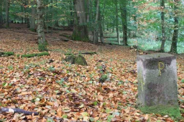 Grenzstein Albessen - Pfeffelbach
