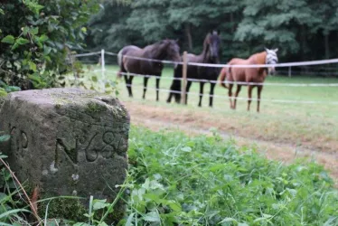 Grenzsteine am Preußensteig