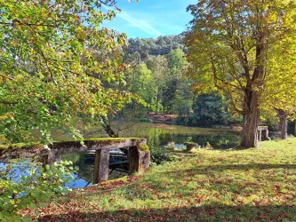 Ein ruhiger See umgeben von buntem Herbstlaub und hohen Bäumen. Das Wasser spiegelt die Natur wider und schafft eine friedliche Atmosphäre.