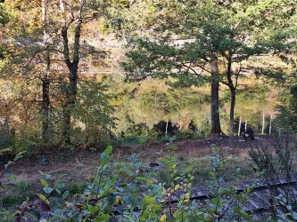 Ein ruhiger Wald mit Bäumen und einem klaren Wasserbecken. Die Herbstfarben spiegeln sich im Wasser wider.