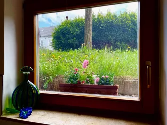 Fenster (© Verena von Manteuffel)