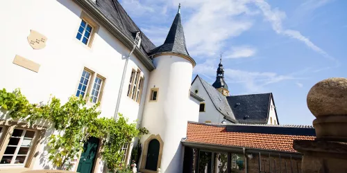 Boos von Waldeckscher Hof (© Ferienregion Nahe-Glan | Moritz Attenberger)