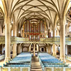 Eine beeindruckende Kirche mit hohen gewölbten Decken und einer schönen Orgel im Hintergrund. Die Bänke sind in einem sanften Blau gehalten und verleihen dem Raum eine ruhige Atmosphäre.