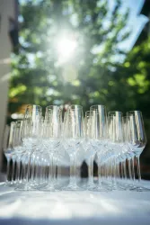 Eine Gruppe von eleganten Sektgläsern steht auf einem Tisch. Im Hintergrund ist ein sonniger Garten mit grünem Laub zu sehen.
