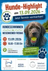 Ein Werbeplakat für eine Veranstaltung namens "Hunde-Highlight" findet am 13.09.2026 statt. Es informiert über Hundeschwimmen im Meisenheimer Freibad und bietet weitere Informationen zu der Veranstaltung.