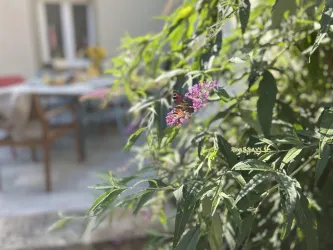 schöner Sommermorgen (© Christoph Collet)