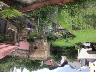 Blick auf den Garten