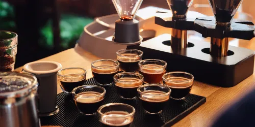 Cupping Web (© Meisenheimer Kaffeerösterei)