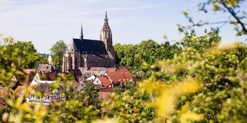 Schlosskirche Meisenheim (© Ferienregion Nahe-Glan | Moritz Attenberger)