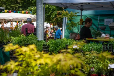 Kräutermarkt Hauenstein