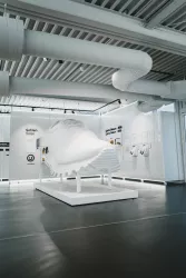 Josef Seibel Schuhfabrik Modell (© Fa. Josef Seibel)
