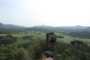 Eine beeindruckende Landschaft mit sanften Hügeln und dichten Wäldern. Im Vordergrund steht ein großer Felsen, der über das grüne Tal blickt.