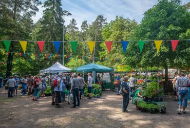 Verschiedene Stände mit Kräutern und anderen Waren auf dem Kräutermarkt; eine Wimpelgirlande, Besucher an den Ständen