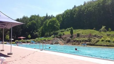 Ein Schwimmbad umgeben von einer grünen Landschaft. Die Sonne scheint und es sind einige Badegäste im Wasser.