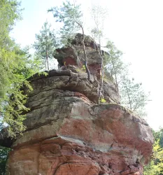 Rauschlochfelsen (© TI Hauenstein)