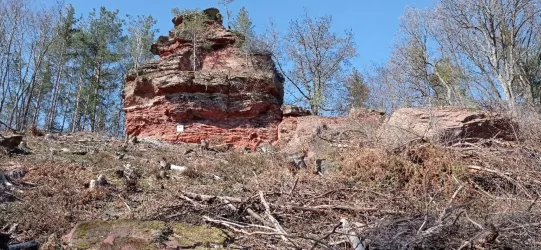 Rauschlochfelsen I (© TI Hauenstein)