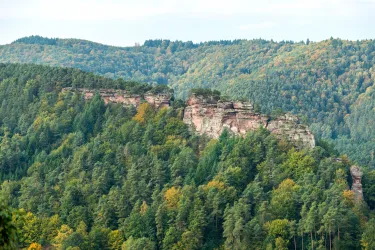 Eine beeindruckende felsige Klippe umgeben von dichten Wäldern. Die Landschaft zeigt eine reiche grüne Farbpalette mit einzelnen Baumkronen in verschiedenen Farben.