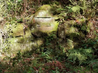 Kirschbaumbrunnen Neidenfels