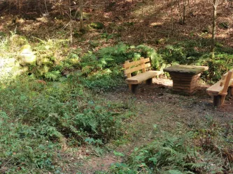 Picknickplatz am Kirschbaumbrunnen - Neidenfels